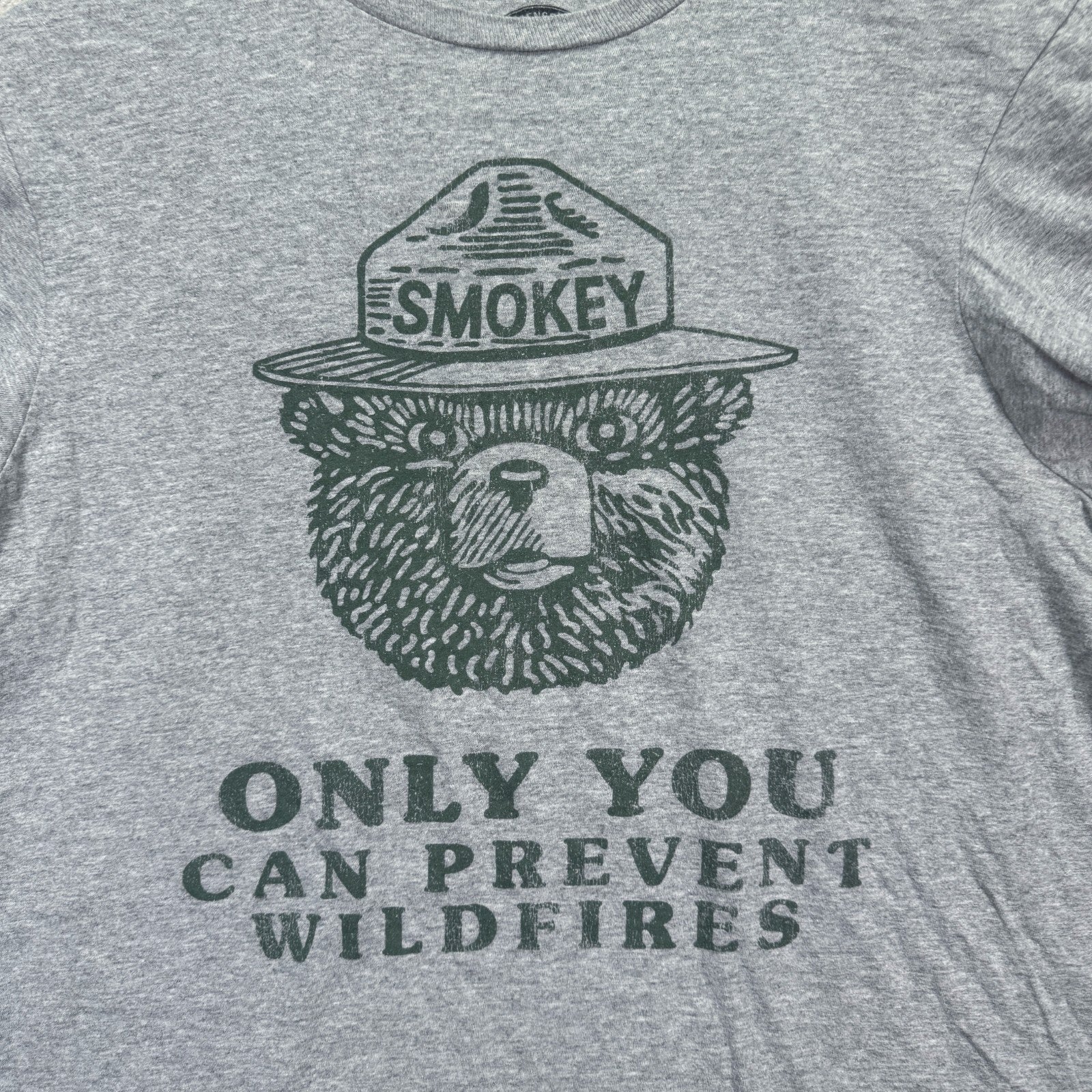 Smokey the Bear Resist Only You Can Forest Fire
