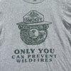 Smokey the Bear Resist Only You Can Forest Fire