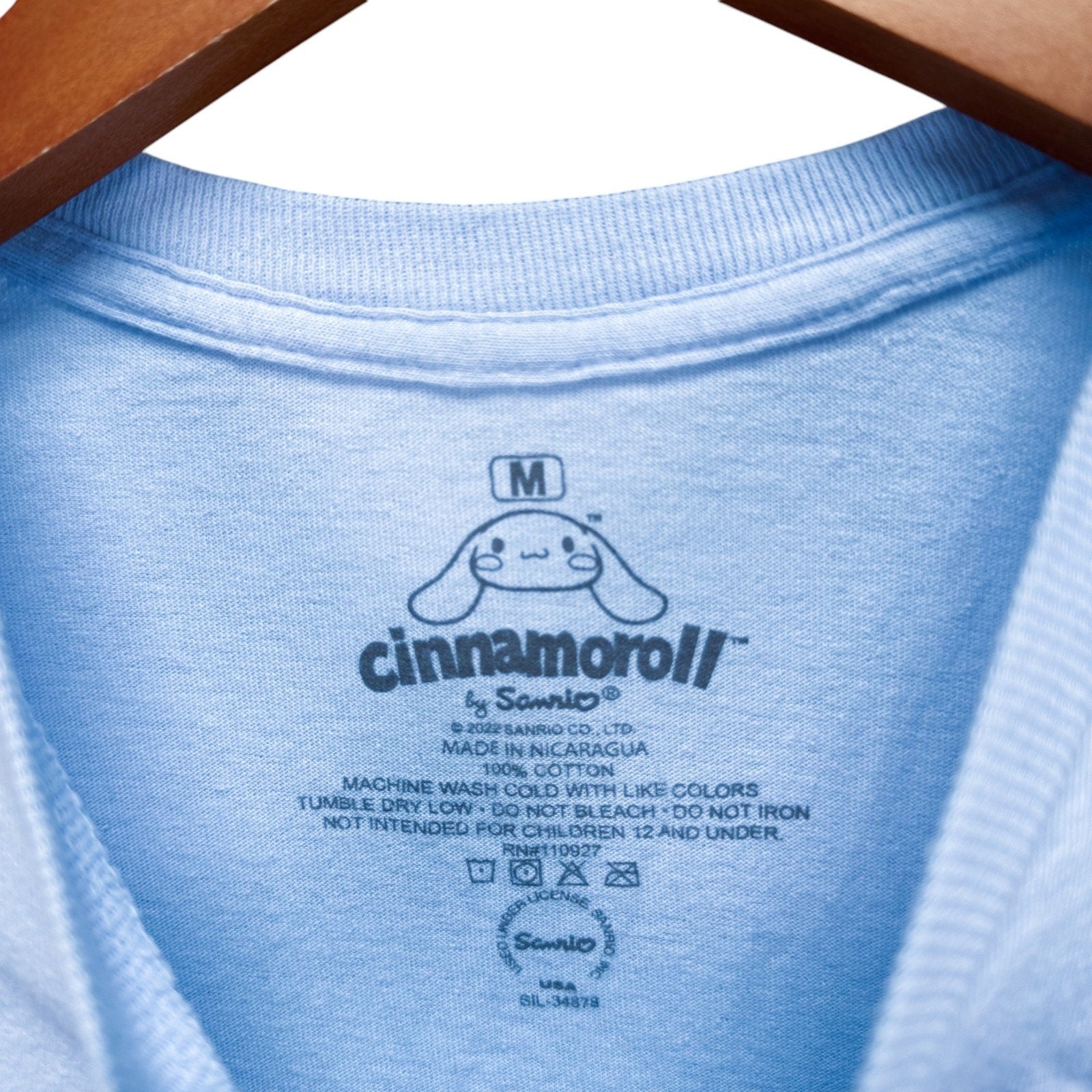 Cinnamoroll Anime Cute Sanrio Pastel Kawaii