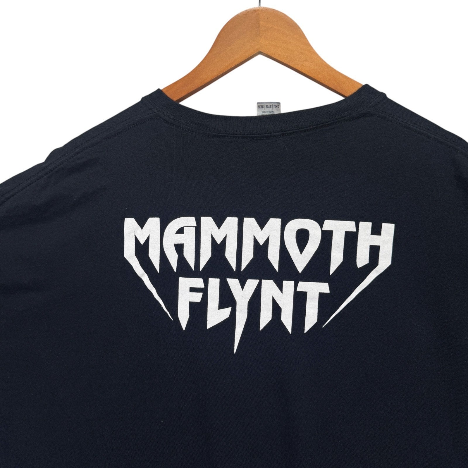 Mammoth Flynt Smile 5 2001 Indiana Rock Heavy Metal Band Brad McClarnon