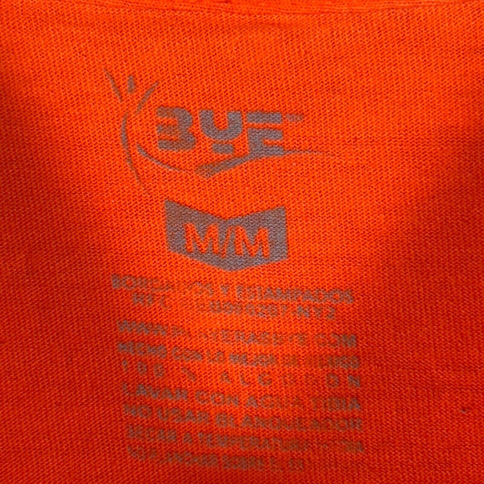 Riviera Maya Mexico Iguana