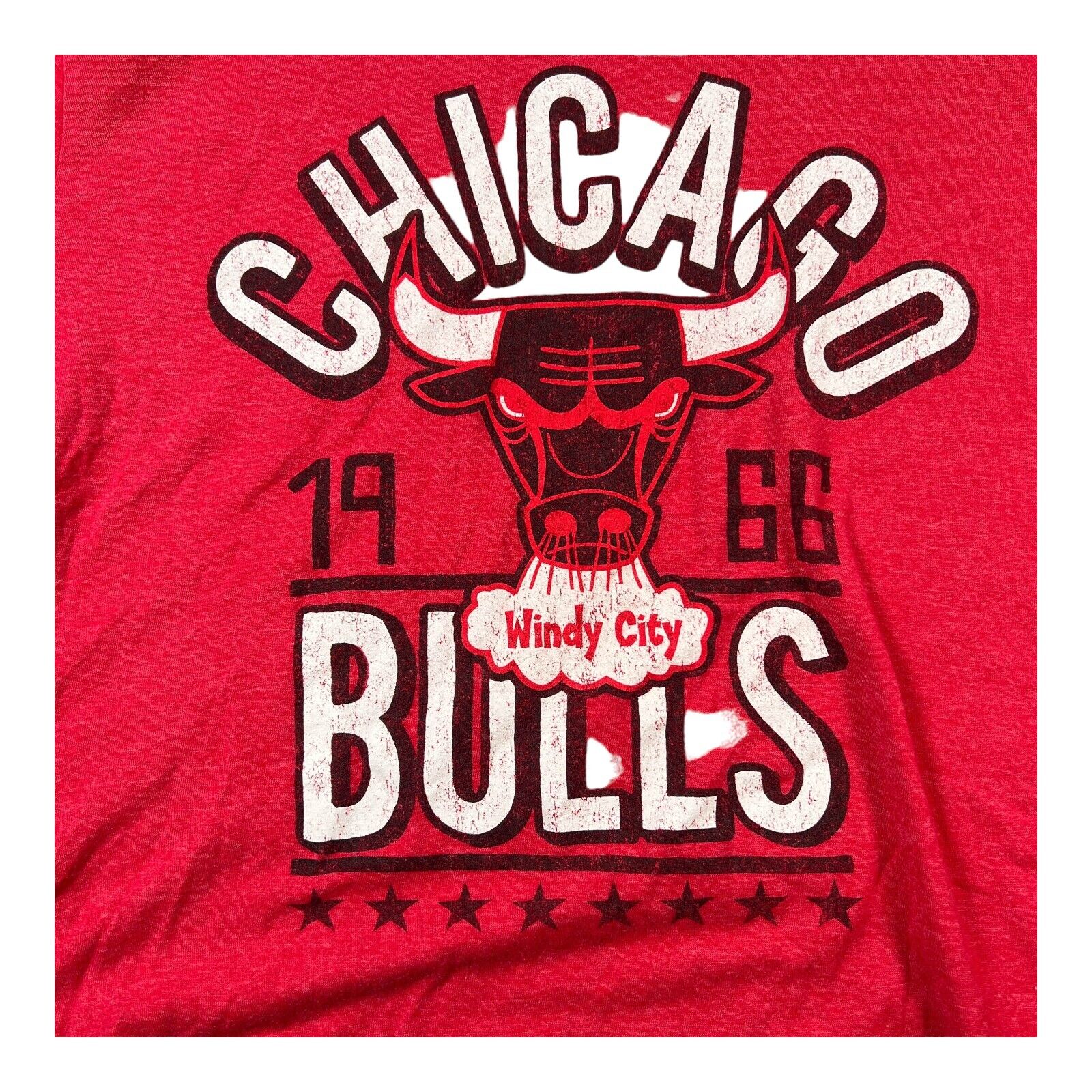 Chicago Bulls Windy City NBA Basketball 1966