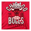 Chicago Bulls Windy City NBA Basketball 1966