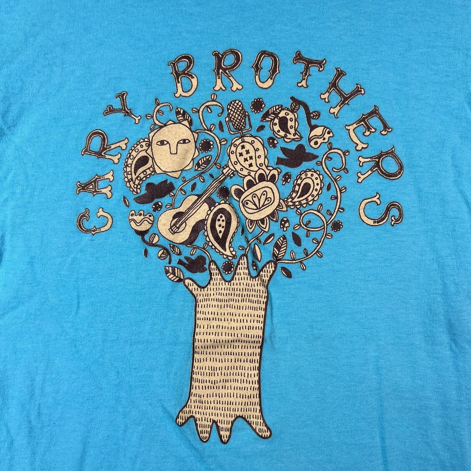 Cary Brothers Indie Rock Singer Robert