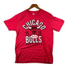 Chicago Bulls Windy City NBA Basketball 1966