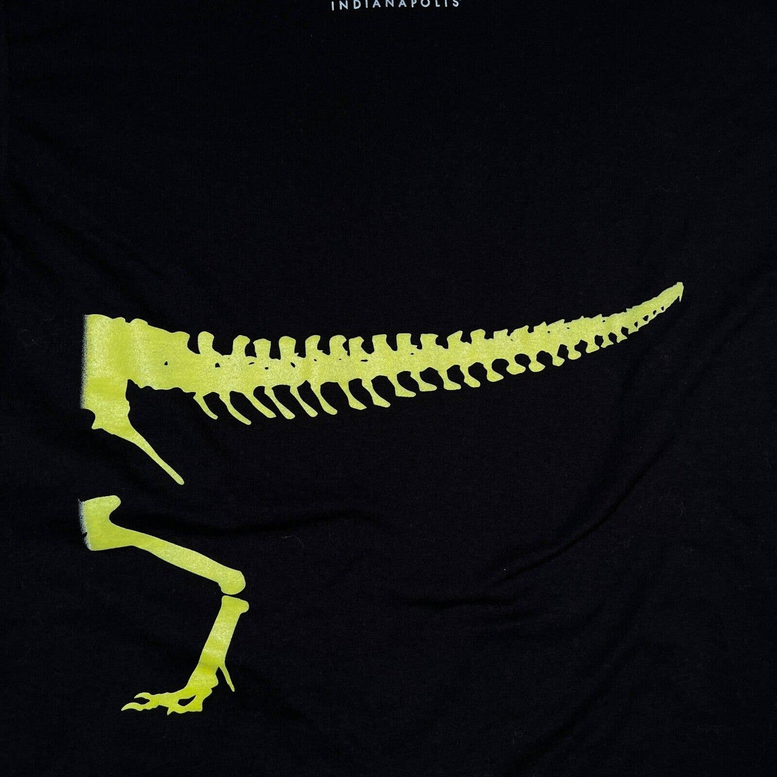 Children's Museum Indianapolis Dinosphere Glow In The Dark Indiana