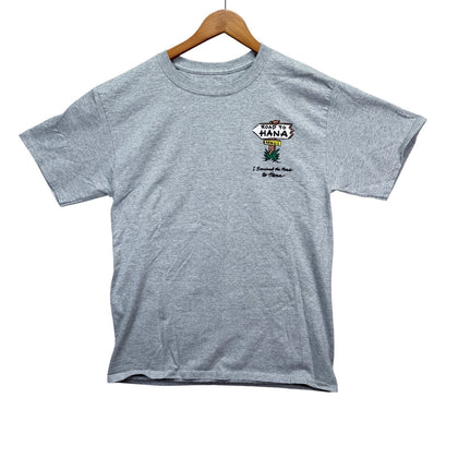 I Survived The Road To Hana Hawaii Maui No Ka'Oi Surf Wagon Travel