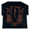 Post Malone Twelve Carat Tour Roddy Rich Tour Concert
