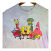 SpongeBob SquarePants Patrick Gary Mr Crabs Nickelodeon